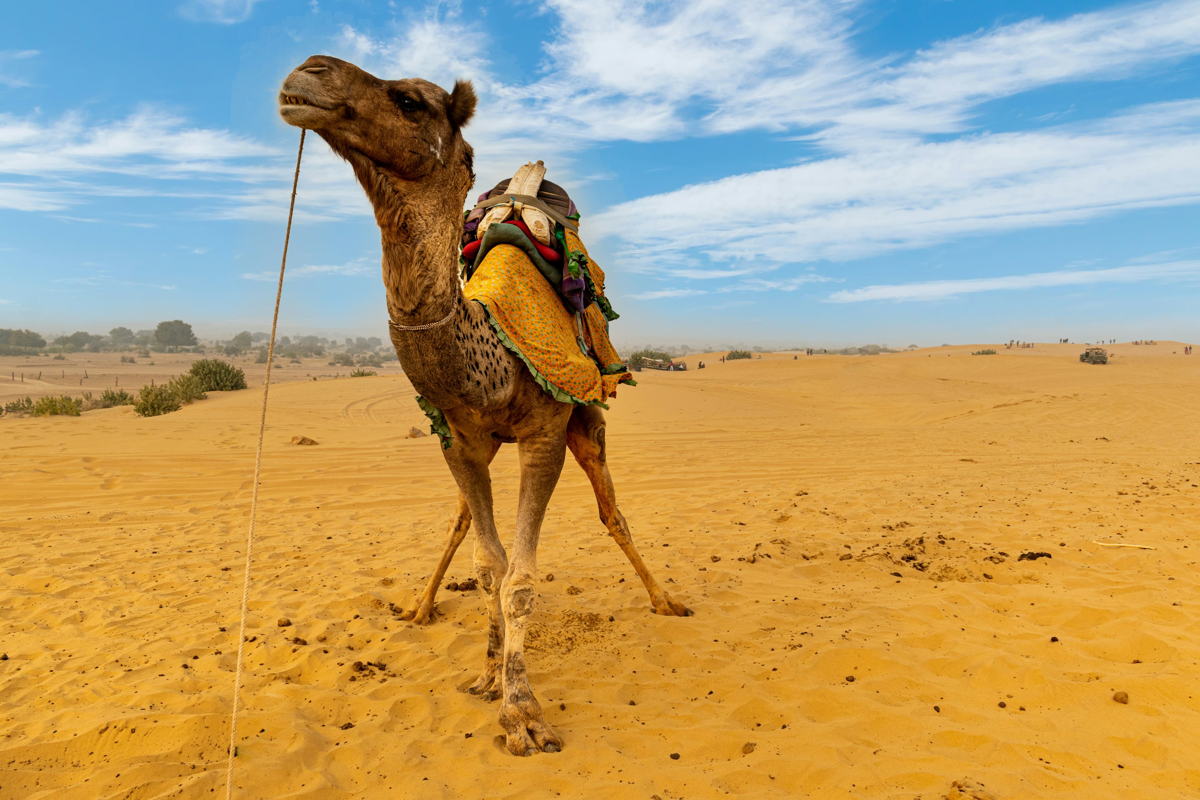 tour-image